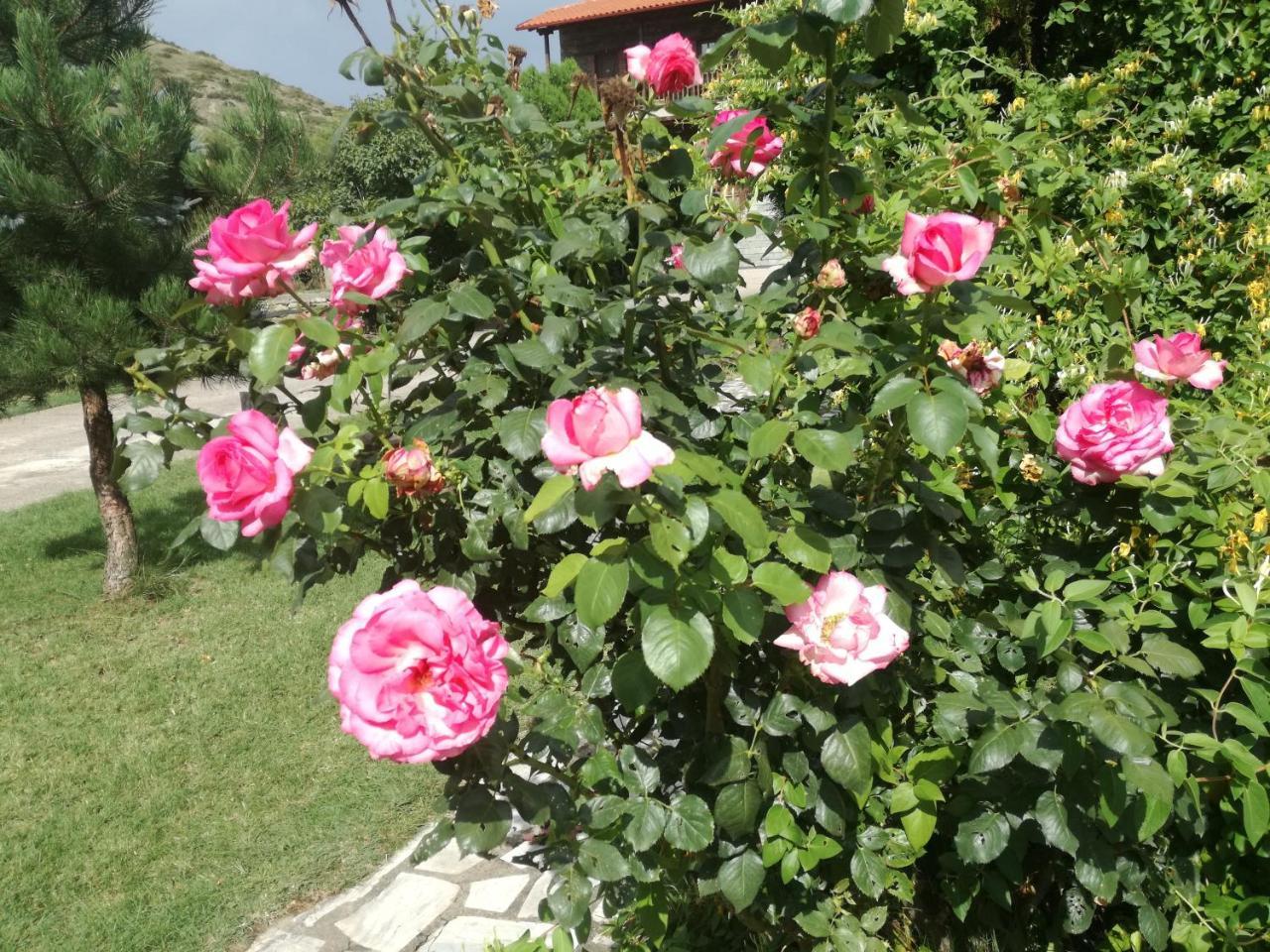 Prespa Resort & Spa Platy  Exterior photo
