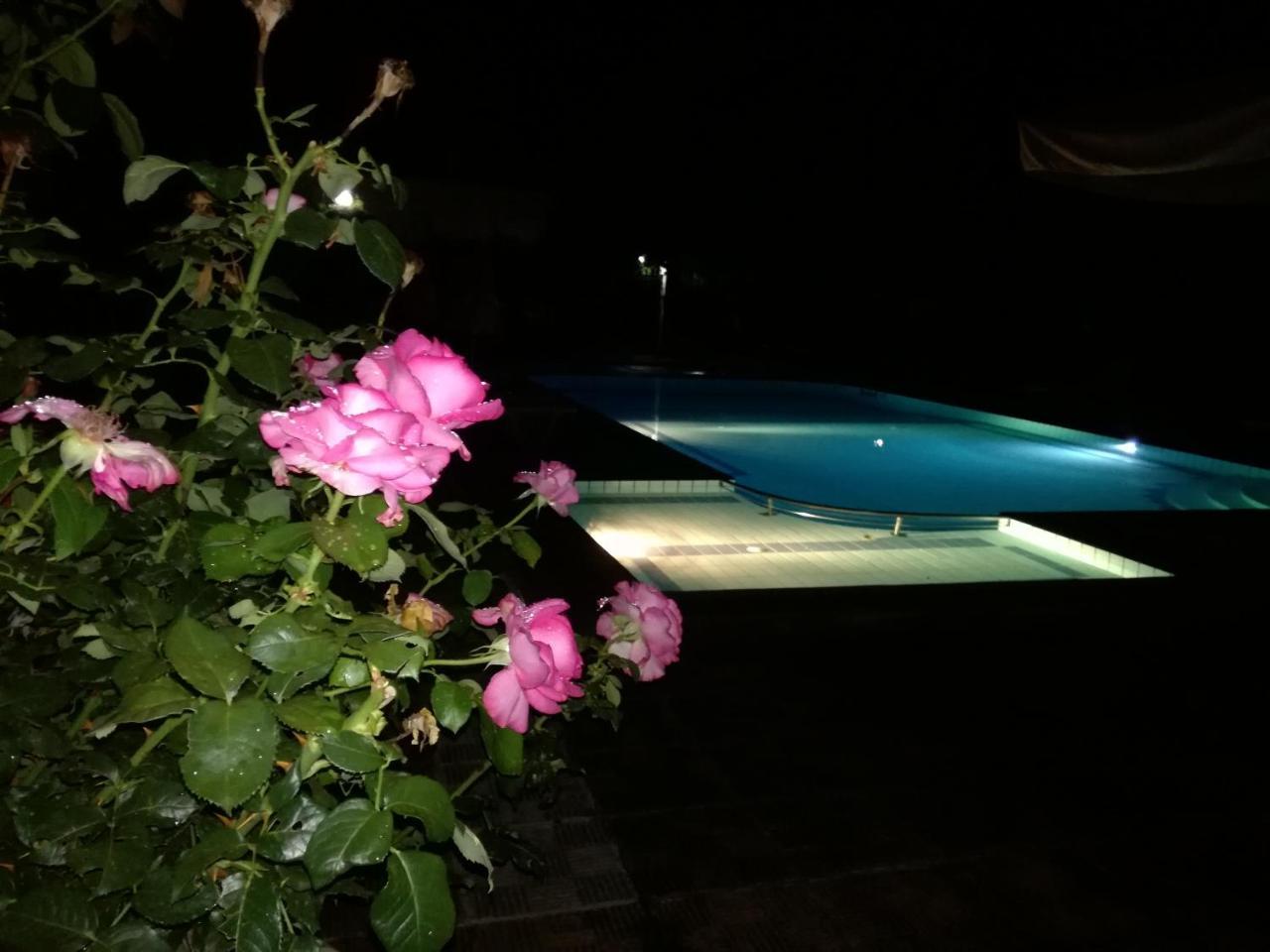 Prespa Resort & Spa Platy  Exterior photo